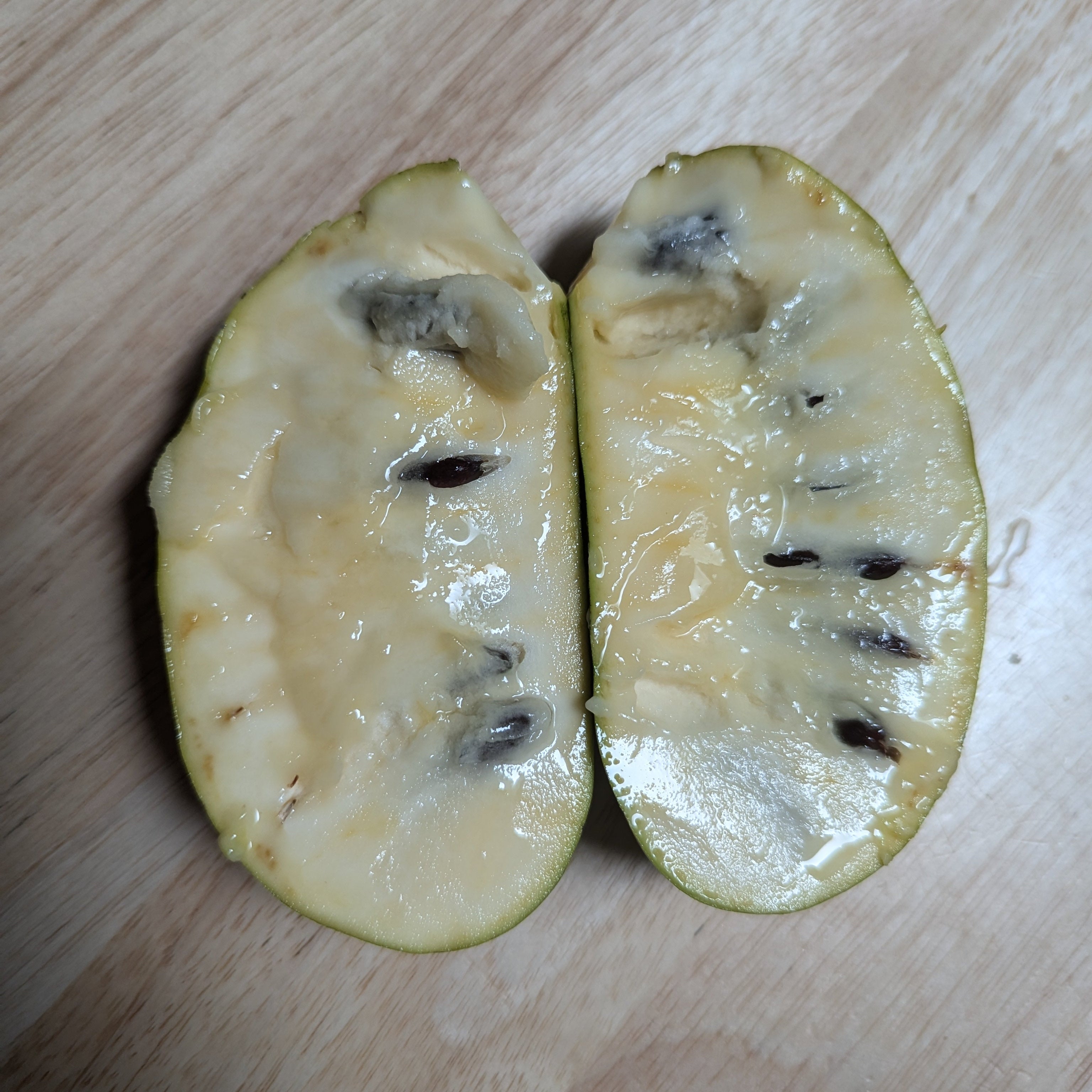 'Al Horn's White' Pawpaw
