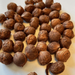 'The Beast' ™ Hazelnut